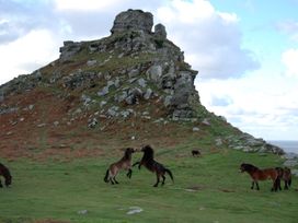 The Old Smithy - Devon - 1156972 - thumbnail photo 35