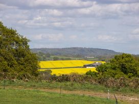 A rural landscape with green grass, trees, a yellow crop field, and farm buildings in the distance at Hollie Raglan