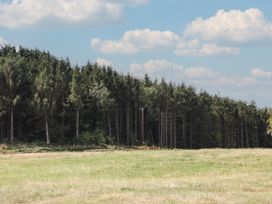 A field with trees and an electric pole at Hollie in Raglan