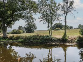A view of trees and water at Hollie in Raglan
