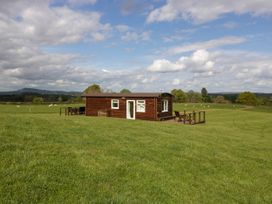 A wooden cabin with outdoor seating on a grassy field with sheep in the background at Poppy in Raglan