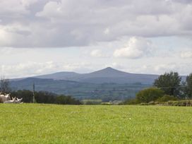 A grassy field with sheep resting in the foreground and hills in the background at Poppy in Raglan