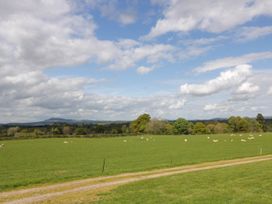 A grassy field with sheep and trees under a cloudy sky at Poppy in Raglan