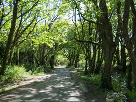 Seaforest Lodge - County Wexford - 1157304 - thumbnail photo 21