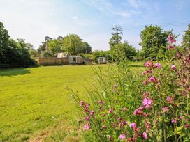 Acres Meadow - Dorset - 1157420 - thumbnail photo 19