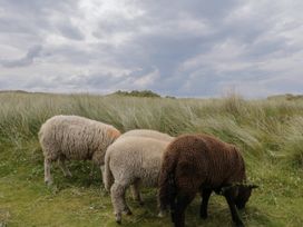 The Island's View - County Donegal - 1157714 - thumbnail photo 20