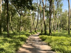 Woodland View 7 - Oak Cabin - Devon - 1157869 - thumbnail photo 47