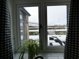 A window with a view of snowy steps and a plant at Y Côr in Cerrigydrudion