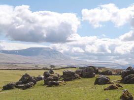 Oyster Catcher - Yorkshire Dales - 1158238 - thumbnail photo 23