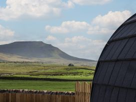 Barn Owl - Yorkshire Dales - 1158241 - thumbnail photo 22