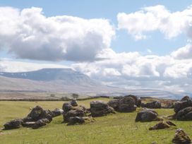 Curlew - Yorkshire Dales - 1158242 - thumbnail photo 20