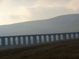 Curlew - Yorkshire Dales - 1158242 - thumbnail photo 22