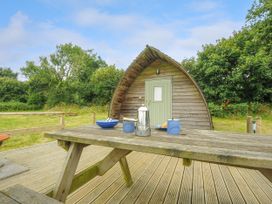 Hen House @ Penbugle Organic Farm - Cornwall - 1158415 - thumbnail photo 9