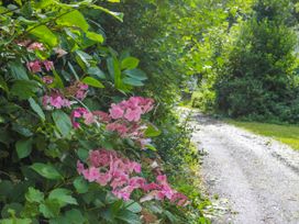 The Lodge at Tal Eryr - North Wales - 1158655 - thumbnail photo 11