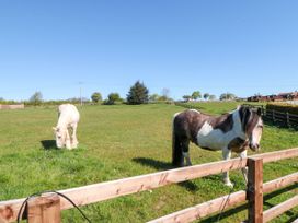 Two horses grazing in a field with a fence at Juniper Lodge in Whitby