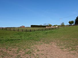 An outdoor field with a shed and horse at Magnolia Lodge in Whitby