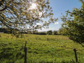 A field surrounded by trees with sunlight at Magnolia Lodge in Whitby