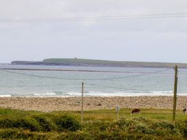 An ocean view with an island and cows at Carrowmore North in Doonbeg, County Clare