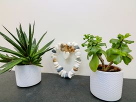 Two potted plants with a heart-shaped stone decoration in between on a dark surface against a plain wall