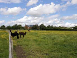 Lavender Cottage - Cotswolds - 1159021 - thumbnail photo 25