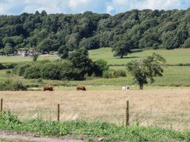 Paradise - Shropshire - 1159207 - thumbnail photo 25