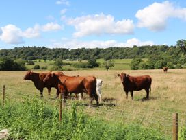 Paradise - Shropshire - 1159207 - thumbnail photo 27