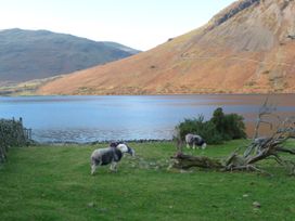 Lazey Cottage - Lake District - 1159330 - thumbnail photo 47