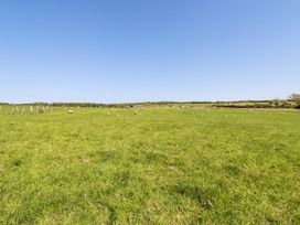 A green field with sheep grazing under a clear blue sky at Hilldene in Treknow