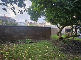 A garden with a tree and grass at 2 Strand Cottages in Laugharne