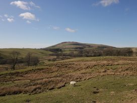 A grassy hillside with sheep scattered and trees in the distance at Binsey Lodge in Longlands near Caldbeck