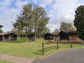 6 Pinewood Retreat - Devon - 1159558 - thumbnail photo 19