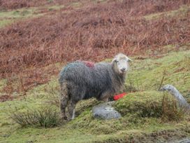 Hazel Nook 21 Ullswater Suite - Lake District - 1159585 - thumbnail photo 36