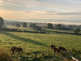 The Lookout - Lake District - 1159775 - thumbnail photo 48