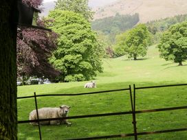 Hollens Cottage - Lake District - 1160376 - thumbnail photo 55