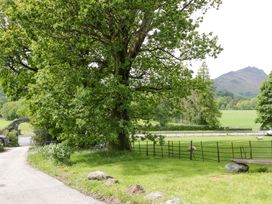 A tree and a pathway near a fence with sheep and mountains at Hollens Cottage in Grasmere