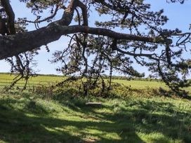 A swing hanging from a tree in a grassy field near Mothecombe Beach