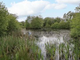A pond surrounded by trees and reeds at Ty Cellin in Swyddffynnon near Pontrhydfendigaid