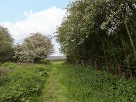 A path bordered by trees and grass at Ty Cellin in Swyddffynnon near Pontrhydfendigaid