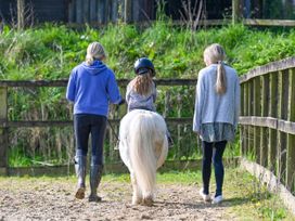 The Mealhouse - Cornwall - 1160981 - thumbnail photo 28