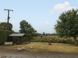 A grassy yard with geese near a wooden shed and trees at Bellmanear Farm Cottage in North Grimston near Malton