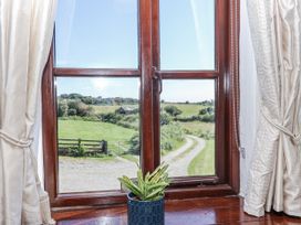 A window with curtains and a potted plant looking out at a field and a road at The Byre in Common Moor near Liskeard