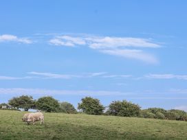 A cow grazing in a grassy field with trees under a blue sky at The Byre Common Moor near Liskeard