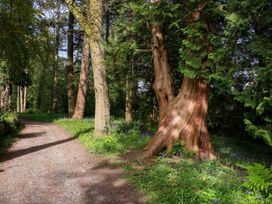 Trem-Yr-Afon - Mid Wales - 1161017 - thumbnail photo 29