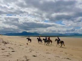 Lighthouse Hill - Westport & County Mayo - 1161045 - thumbnail photo 49