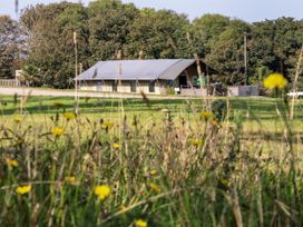 Buttercup - Cornwall - 1161918 - thumbnail photo 35