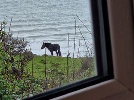 A horse near the sea at Woodland Roost in Barmouth