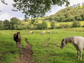 Little Pale - South Wales - 1162230 - thumbnail photo 54