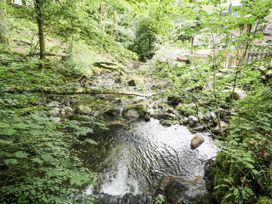 A stream flowing through a forested area at Frongoch Old Power House Dolgellau