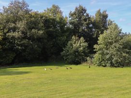 Binneford Barn - Devon - 1162535 - thumbnail photo 39