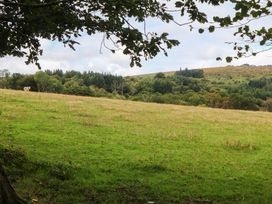 A field with trees and a cow at Halshanger Barn Newton Abbot